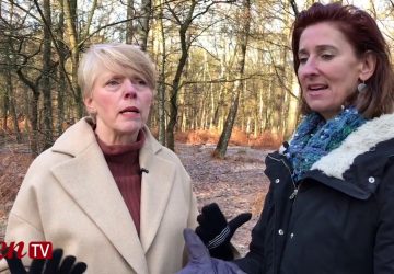 Stemmingsklachten in de overgang